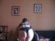 il mio sedere