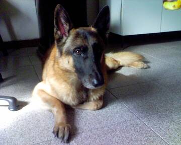 Public Photo of Pyter12