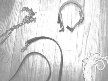 Public Photo of L-OraPiuLunga