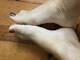 lato pied