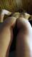 Private Photo of Eat_this_PatataBlue
