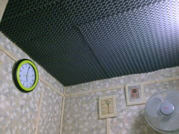 Public Photo of goldenfish